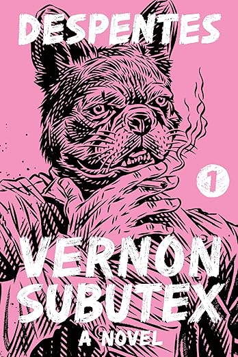 Cover of Vernon Subutex by Virginie Despentes, a contemporary novel set in Paris.