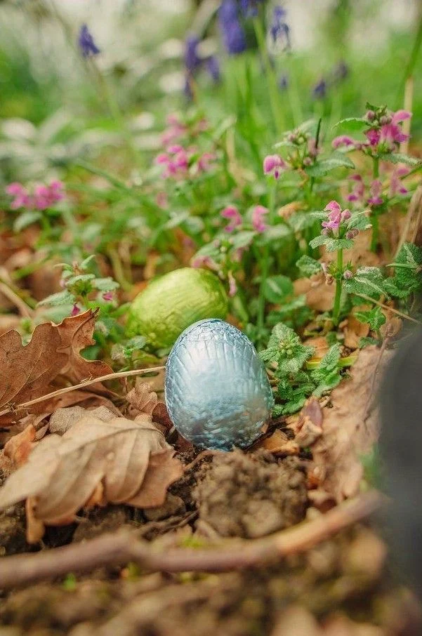 Foil-wrapped chocolate Easter eggs hidden among spring flowers in a French garden