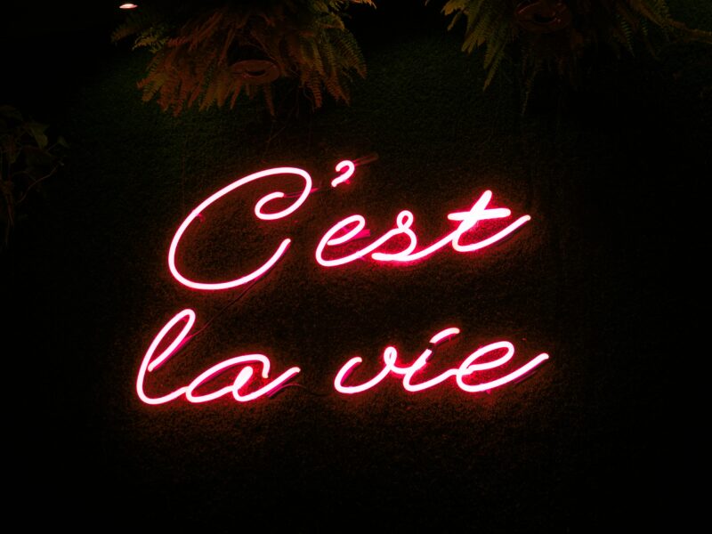 Neon pink sign with the French expression “C’est la vie” glowing against a dark wall
