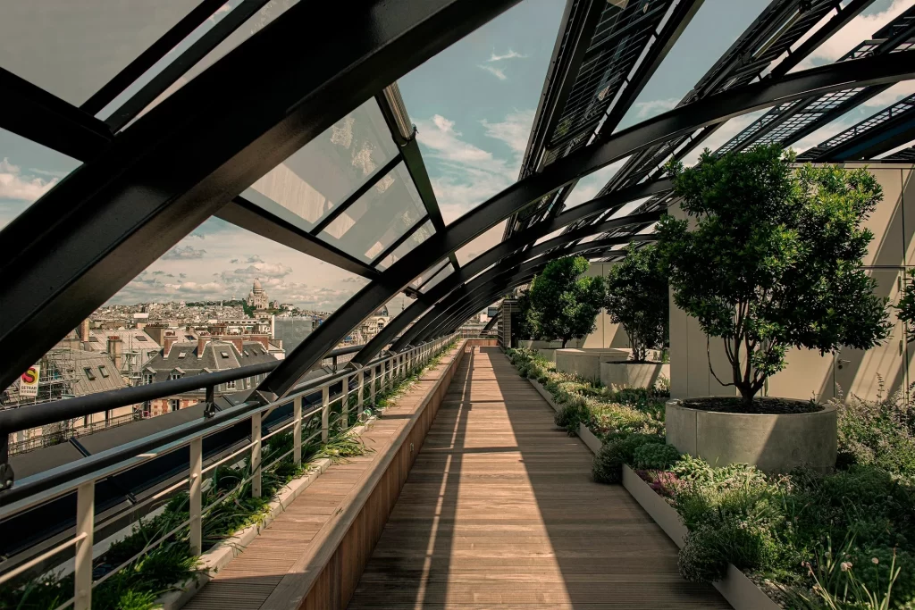 Rooftop view from Madame Rêve with flowers in the foreground and Notre-Dame and the Seine in the distance