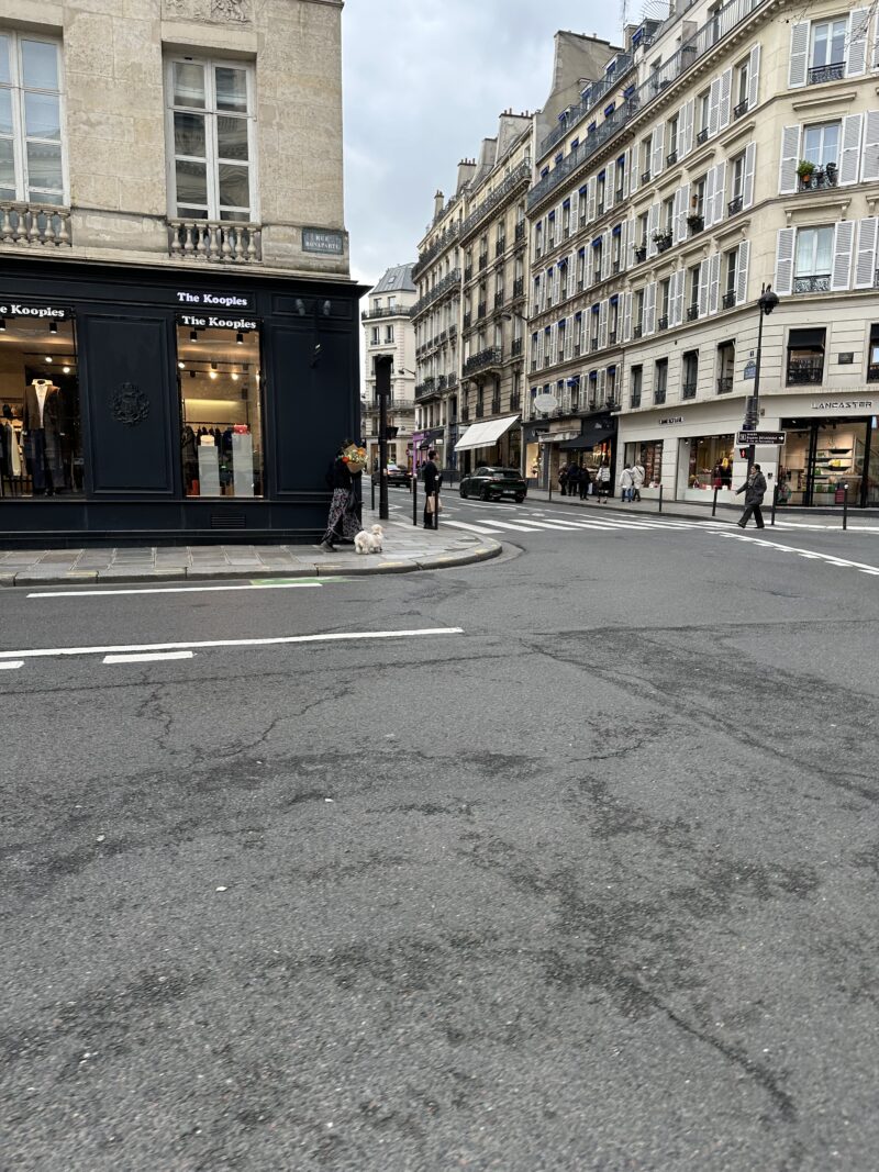 Woman holding flowers in front of The Kooples store on Rue du Vieux Colombier, Paris