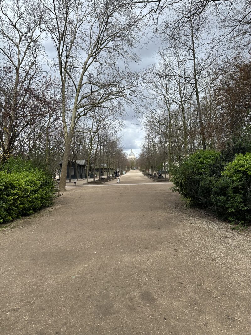 Path through a quiet Paris park with sparse trees and hints of greenery