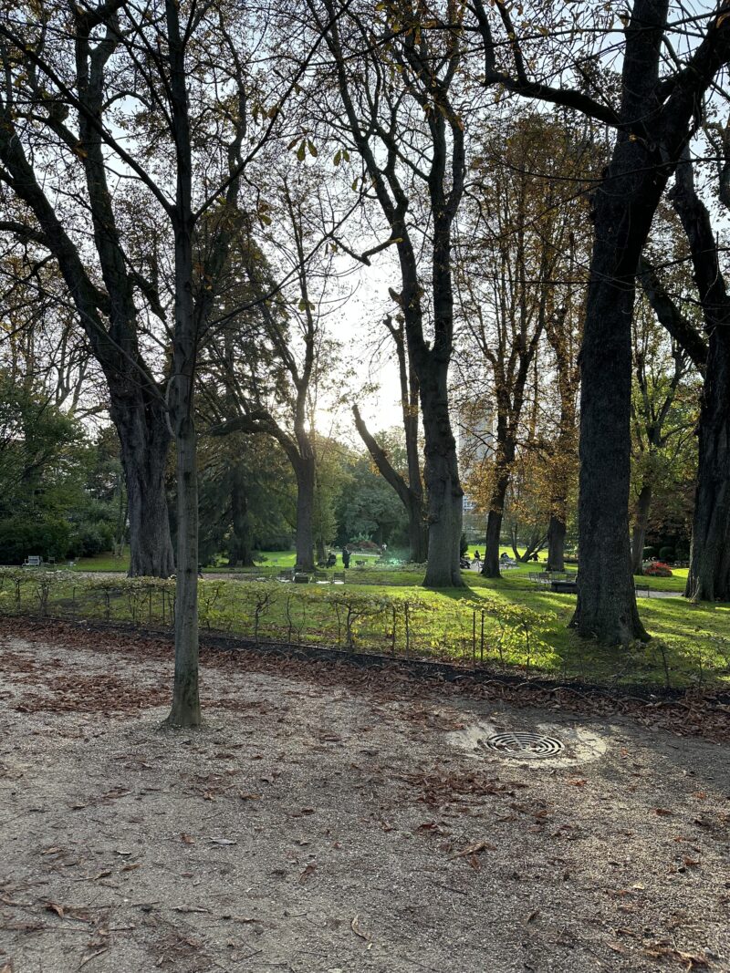 Autumn light filtering through trees in a Paris park in October.
