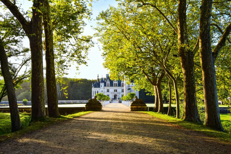 Château de Chenonceau, one of the most famous castles in the Loire Valley France, framed by trees at sunset.