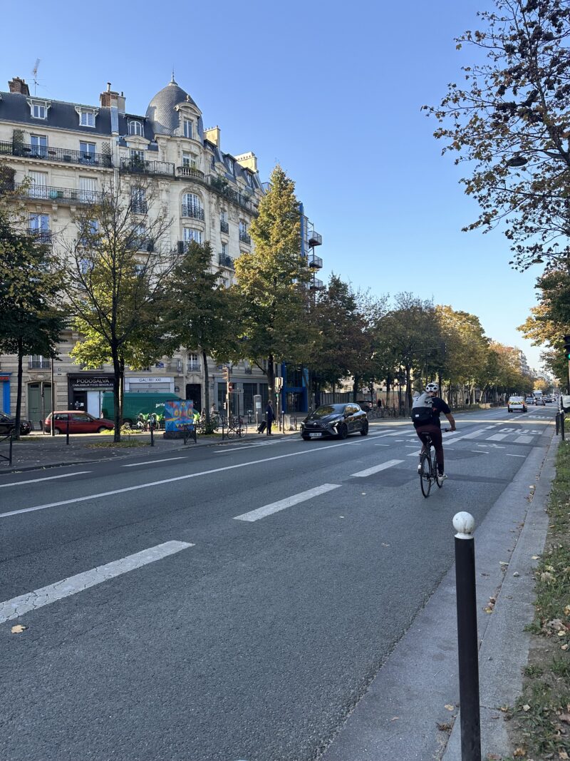 Cyclist riding along a Paris boulevard lined with autumn trees in November
