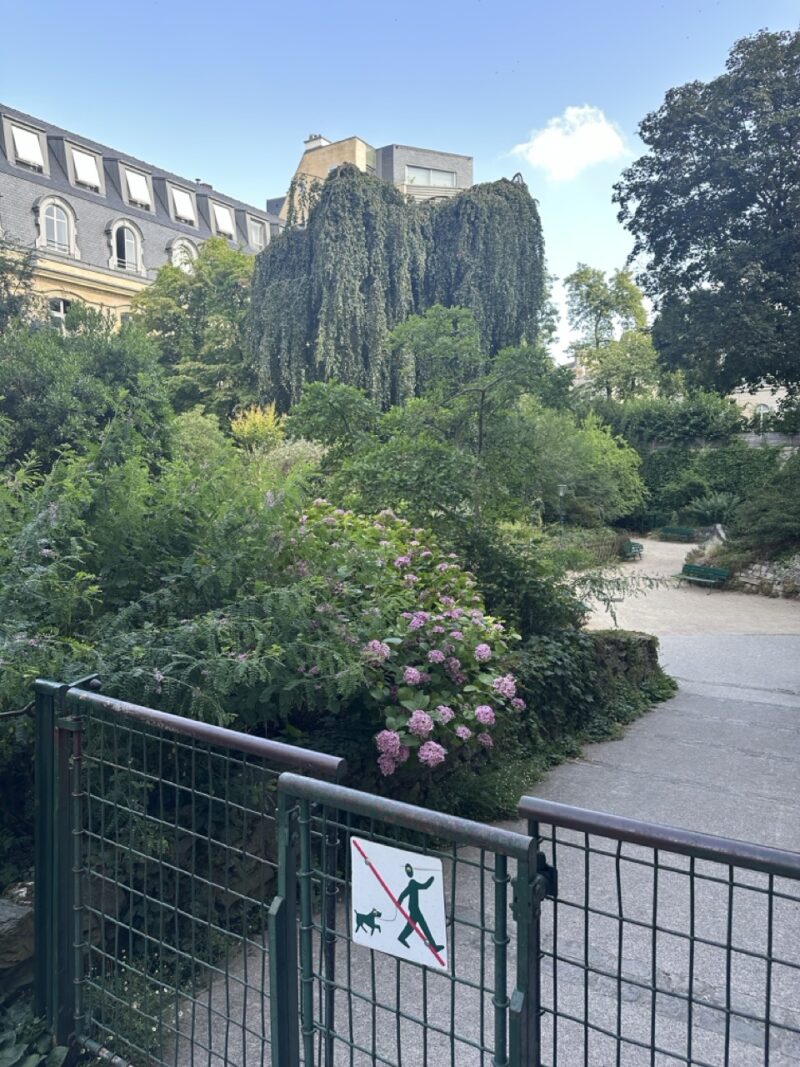 View of a quiet residential street with greenery in Paris