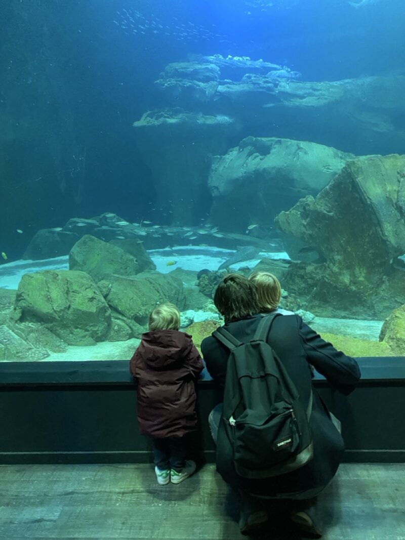 parent and toddler watching fish at Aquarium de Paris, a cozy activity for Paris with toddler in winter