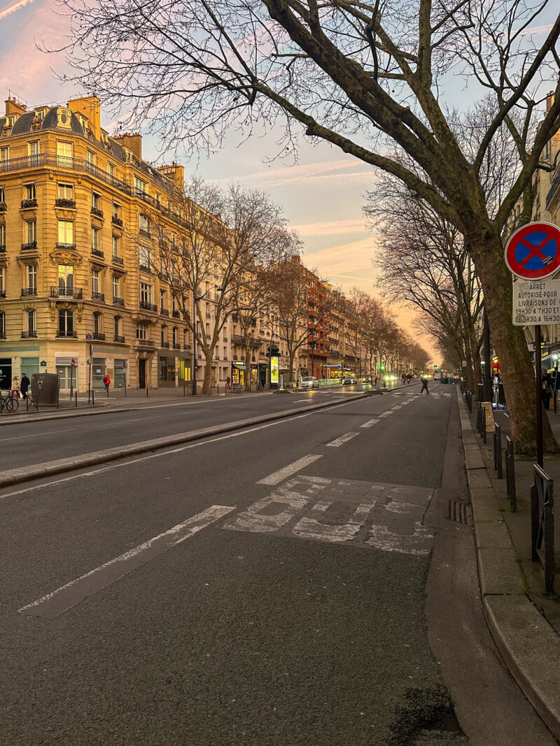 Quiet Paris street with bare trees and winter sunlight in December.